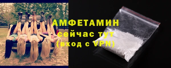 дживик Горняк