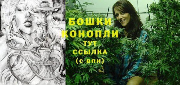 дживик Горняк