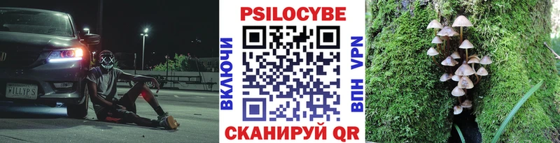 Купить где  Шарыпово  Псилоцибиновые грибы MAGIC MUSHROOMS 